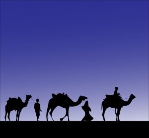 Three Wise Men camel-316894_640