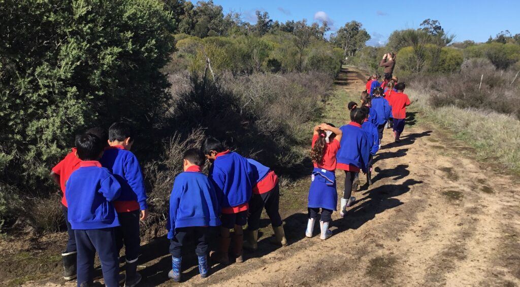 Wetland Adventures with Pre-Primary Students