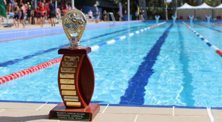Secondary House Swimming Carnival Banner