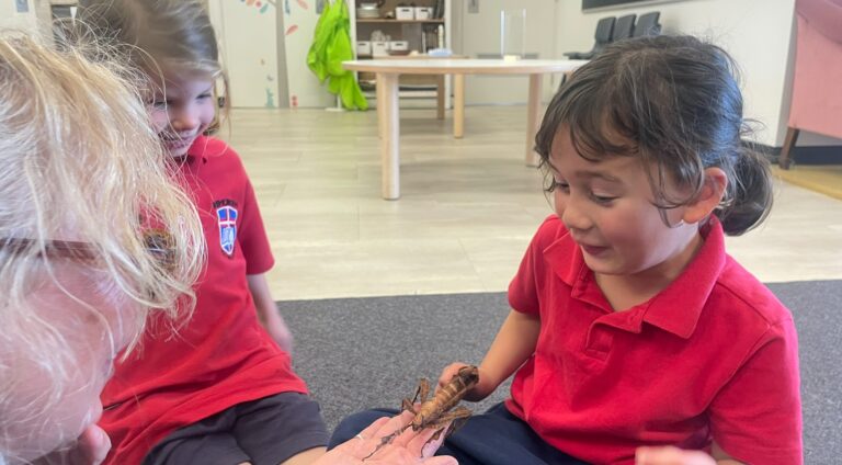 God-Given Curiosity Banner