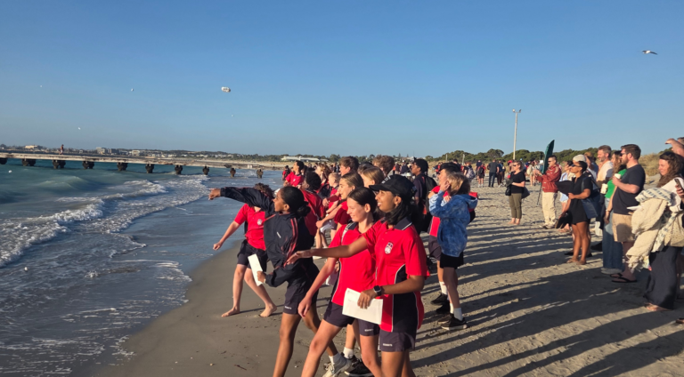 Dokimos Road Big Day Out