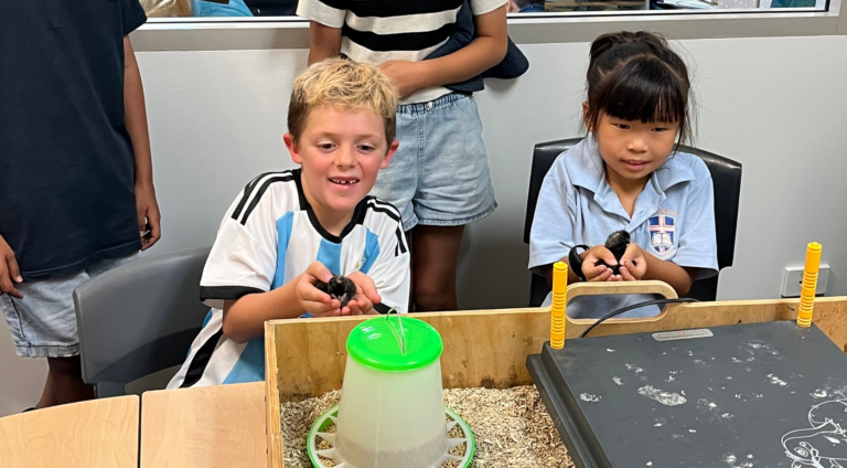 Tiny Cracks Big Lessons - Watching New Life Hatch