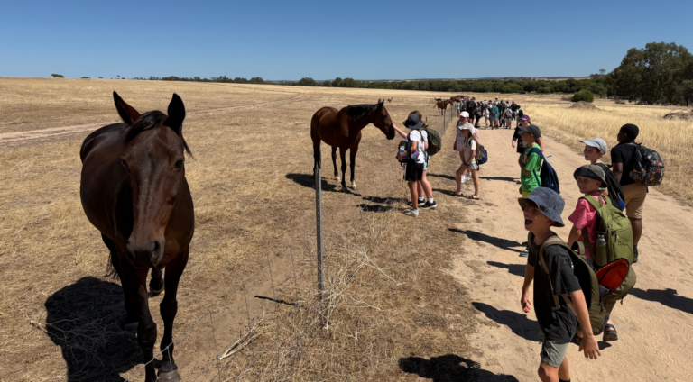 Year 6 Camp - 2026