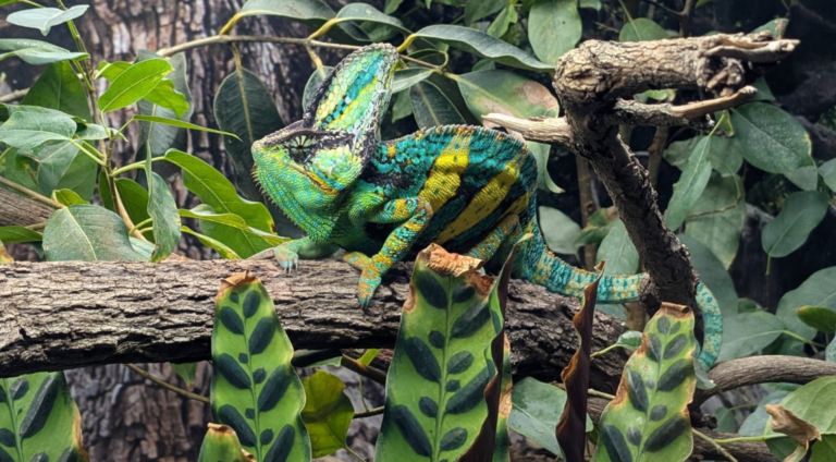 Zoo