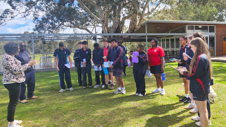 Yr 11 Geography - Swan Valley Banner